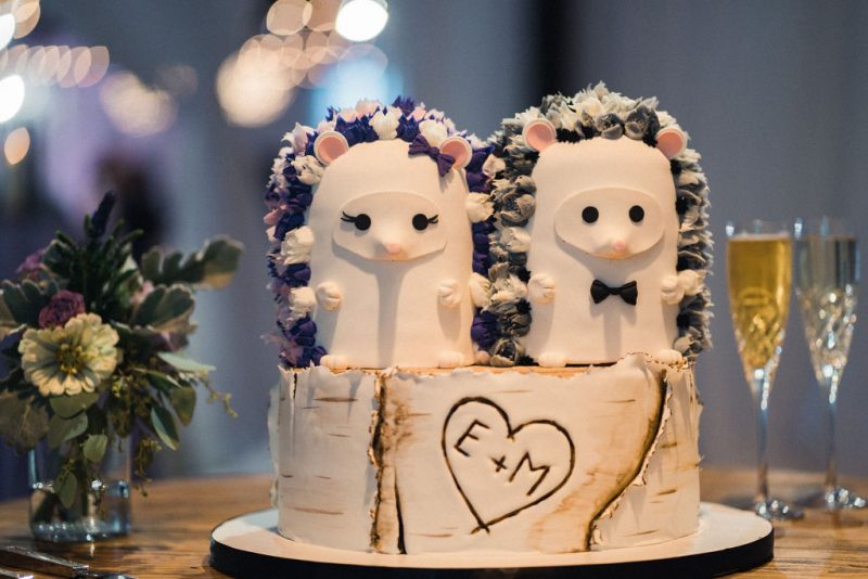 Cakes by Chloe Hedgehog Cake